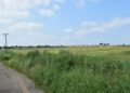 snip 1 - News for Peterborough and Cambridgeshire News for Peterborough and Cambridgeshire - Looking south west across the application site with the drainage ditch along the northern boundary visible where the crop colour changes