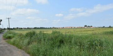 Looking south west across the application site with the drainage ditch along the northern boundary visible where the crop colour changes