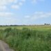 News for Peterborough and Cambridgeshire - Looking south west across the application site with the drainage ditch along the northern boundary visible where the crop colour changes