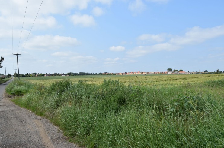 News for Peterborough and Cambridgeshire - Looking south west across the application site with the drainage ditch along the northern boundary visible where the crop colour changes