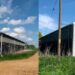 A bid to convert this agricultural barn at Graysmoor Farm, Elm, near Wisbech into four homes has been dismissed by the Planning Inspectorate—bringing an end to a closely watched rural planning dispute and inadvertently shining a spotlight on one of Cambridgeshire’s most quietly influential landowners.