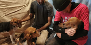 mbr 4 - News for Peterborough and Cambridgeshire News for Peterborough and Cambridgeshire - Animal Rising has released multiple images from their campaign at MBR Acres, Wyton, Cambridgeshire. Animal Rising describes itself as a social movement to create a new relationship “with all beings and give us a chance for a safe ecological future”