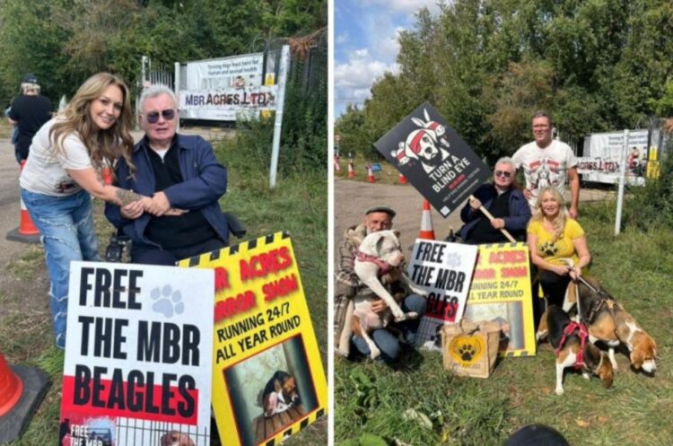 Broadcaster Eamon Holmes visited Camp Beagle on September 6 to support the end of animal testing and the 'Turn a Blind Eye Campaign'. The initiative was set up by the ex-husband of comedian Alan Carr and animal rights campaigner Paul Drayton.