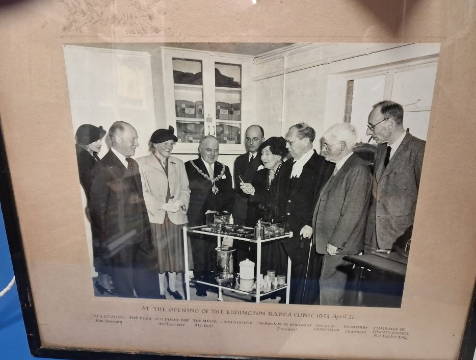 Since the 1950s, the Queen’s Veterinary School Hospital and the RSPCA clinic have worked together to provide life-saving veterinary treatment for sick and injured pets from across Cambridge and surrounding areas.