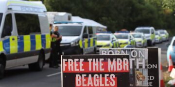 Animal Rising campaigners convicted of burglary after rescuing 18 beagle puppies from MBR Acres have received suspended sentences in a landmark UK ‘Open Rescue’ animal testing case. IMAGE: Animal Rising