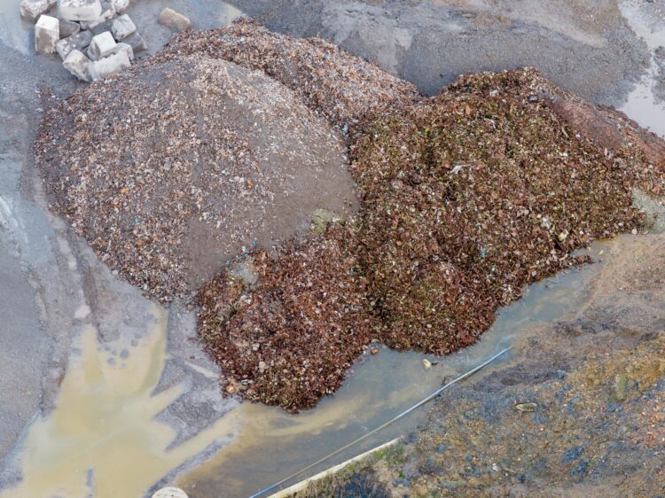 IBA - Incinerator Bottom Ash… ash by name but not by nature, large elements clearly seem within the ‘ash’ Former Saxon brickworks site, Whittlesey. PHOTO: Terry Harris February 17th, 2026