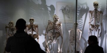 Cambridge Festival, the University of Cambridge’s annual showcase of ideas, research and public conversations. IMAGE: Courtesy of Cambridge Festival