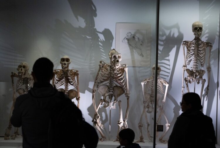 Cambridge Festival, the University of Cambridge’s annual showcase of ideas, research and public conversations. IMAGE: Courtesy of Cambridge Festival