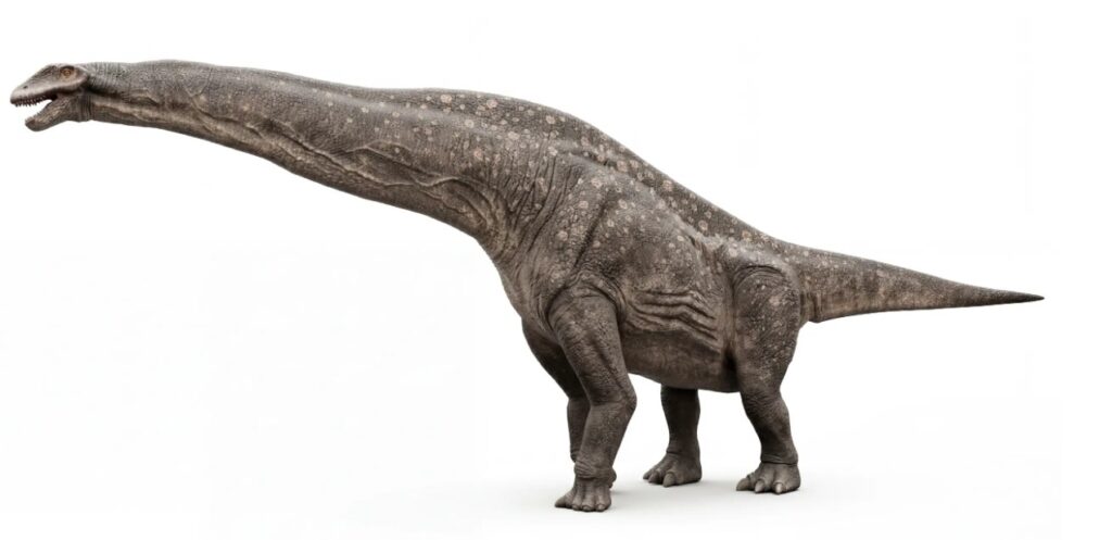 A Moment of Wonder. Dinosaurs have fascinated people since the word itself was first coined in the nineteenth century. They capture imagination in a way few scientific discoveries can.