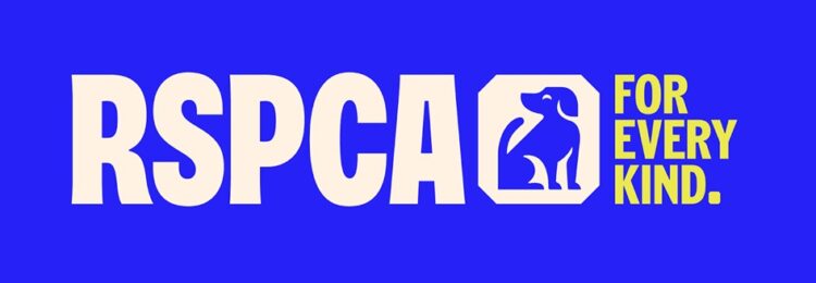 A man has been given a lifetime ban on keeping all animals and a suspended prison sentence after he carried out ‘astonishing cruelty’ resulting in the death of a ragdoll kitten. Ben Murkin (DOB:24/05/1999), of Mill Lane, Fordham, Ely, appeared before Cambridge Crown Court on March 6 for sentencing in a prosecution brought by the RSPCA.