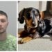 Peggy the Dachshund, who was stolen during a burglary in Toft, has been safely reunited with her owner after Sullivan Lee was jailed for more than five years for the offence.