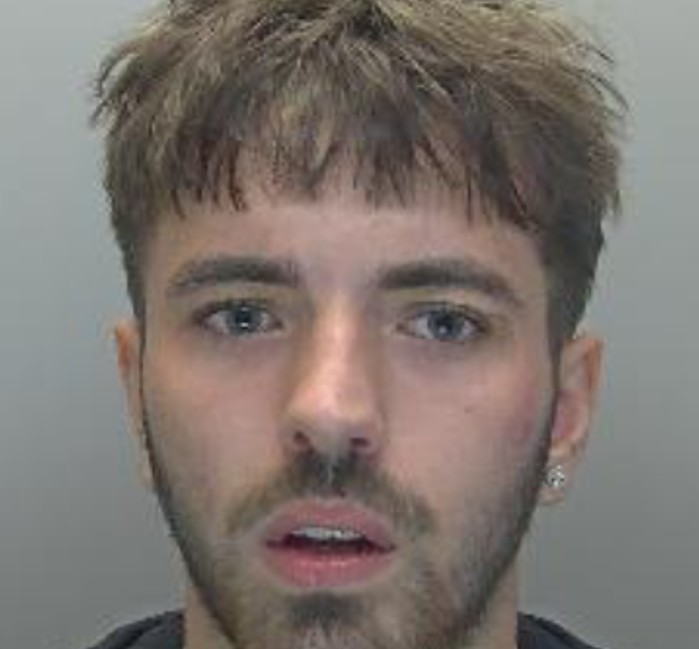 Harvey Browne has been jailed for two years and nine months after assaulting his pregnant girlfriend and threatening to kill her.